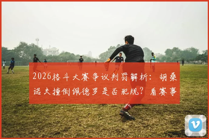 2026格斗大赛争议判罚解析:胡桑诺夫撞倒佩德罗是否犯规?看赛事评审团与资深拳迷观点交锋