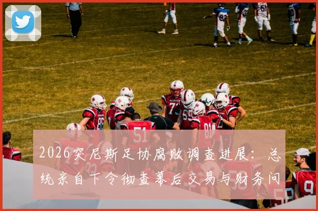 2026突尼斯足协腐败调查进展：总统亲自下令彻查幕后交易与财务问题，突媒最新报道追踪
